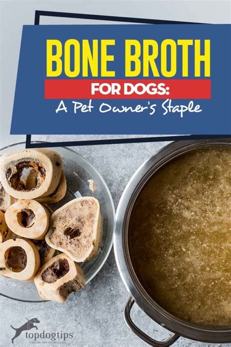 Bone Broth For Dogs A Pet Owners Staple Bone Broth For Dogs Recipe