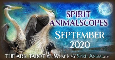 Animal Spirit Guide Blog Learn All About Your Spirit Totem And Power