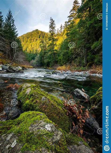 Vibrant Colorful Elk River In Oregon With Trees And Mossy Rocks Stock
