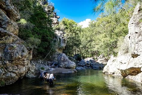 Green Gully Track In Oxley Wild Rivers National Park