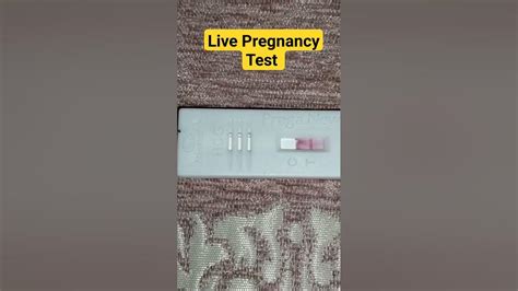 Live Pregnancy Test At Home Prega News Kit Pregnancy Confirm