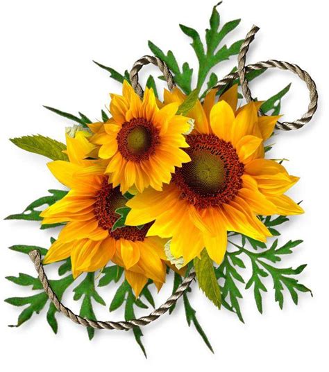 Pin By Sandra Clark On I Love Sunflowers 🌻 Sunflower Art Sunflower