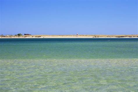 We took the €5 ferry (€10 return). Animaris Ilha Deserta Boat Tours (Faro, Portugal ...