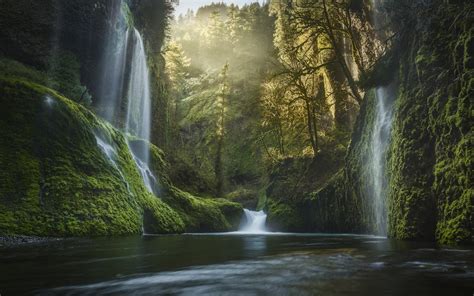Nature Landscape Oregon Waterfall Moss Forest Mist Sunrise Usa