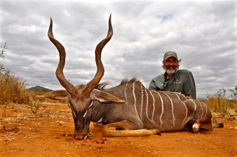 Lesser Kudu Safari Trackers