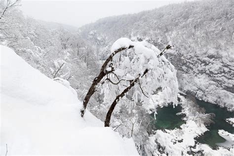 Winter In Plitvice Lakes National Park Stock Photo Image Of Park