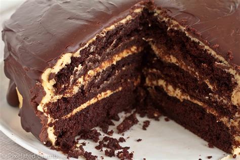 The Ultimate Chocolate Peanut Butter Cake Pixelated Crumb