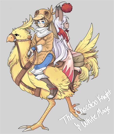 Chocobo Knight And White Mage By Tcong On Deviantart