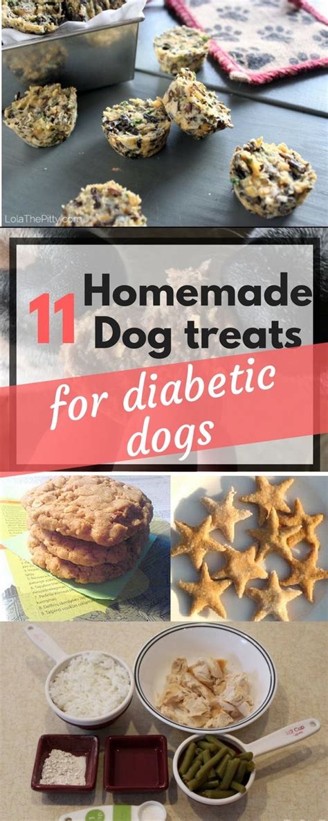 11 Diabetic Dog Treats Recipes Your Pup Will Love | Diabetic dog treat recipe, Dog biscuit ...