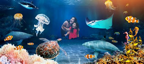 Sea Life Aquariums And Attractions Official Sea Life Website
