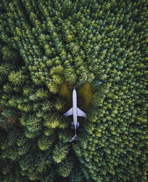 An Abandoned Plane In The Middle Of The Forest 761x937 Beautiful