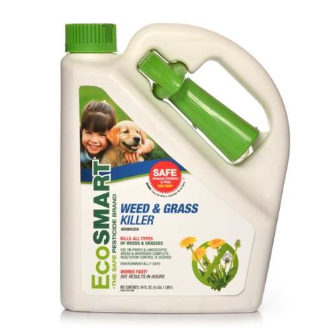 The best natural weed killer involves getting on your hands and knees, you can guess the rest. The Best Pet Safe Weed Killer for 2020
