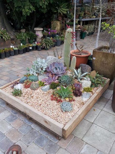 Incredible Cactus Garden Landscaping Ideas Best For Summer 20 Magzhouse