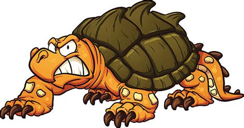 Snapping Turtle Illustrations Royalty Free Vector Graphics And Clip Art