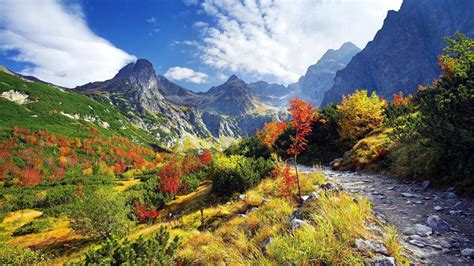 Autumn In The Mountain Gorge Wallpapers And Images Wallpapers