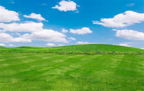 Green Field And Blue Sky With Light Cloudsimage Of Green Grass Field
