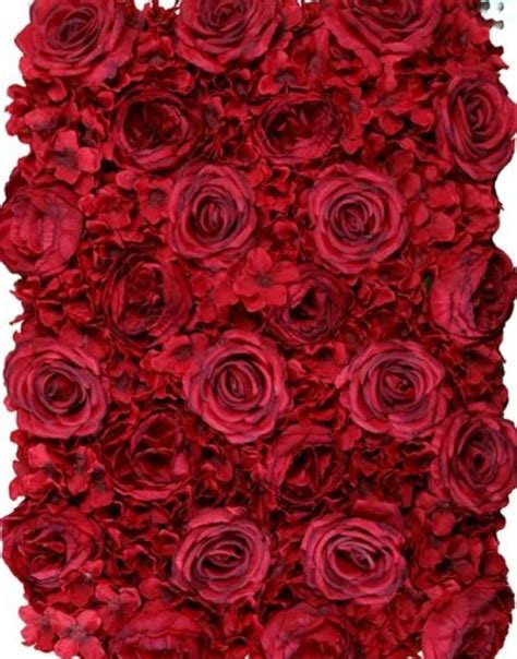 Deep Red Rose And Hydrangea Flower Wall Calgary Event Wholesale