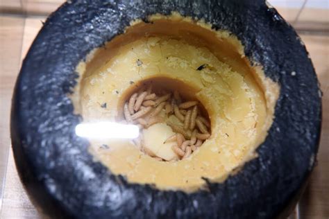 Casu Marzu The Italian Maggot Cheese That S Illegal Around The World