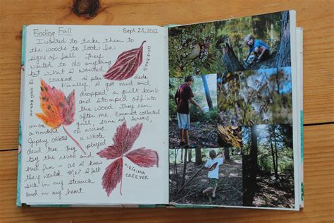 Remains Of The Day Nature Journaling Incorporating Photographs