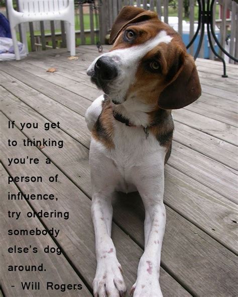 Heaven quotes will rogers dogs. Will Rogers Quotes About Dogs. QuotesGram