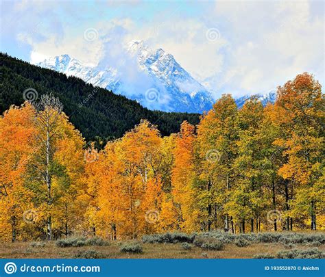 Autumn Grand Teton National Park Wyoming Stock Photo Image Of