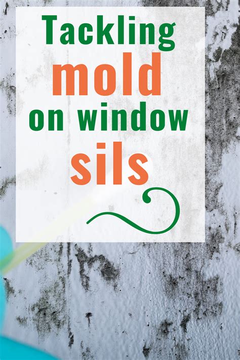 We did not find results for: The Best Ways For Tackling Mold On Window Sills | Mold on ...