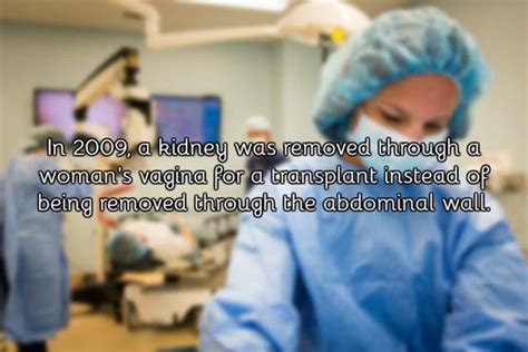A Few Facts About Vagina You Need To Know Pics Izismile Com
