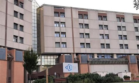 Giornata Mondiale Del Rene All Ospedale Di Torrette Screening Gratuiti