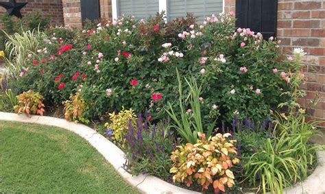 Image Result For L Shaped Flower Bed Knockout Roses Small Yard