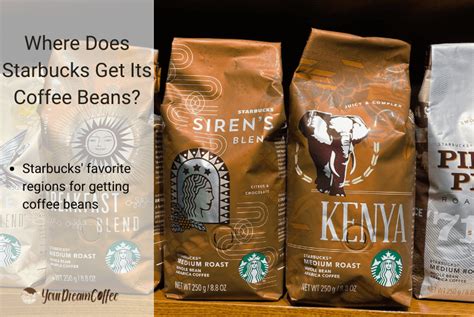 Where Does Starbucks Get Its Coffee Beans 2023 Data