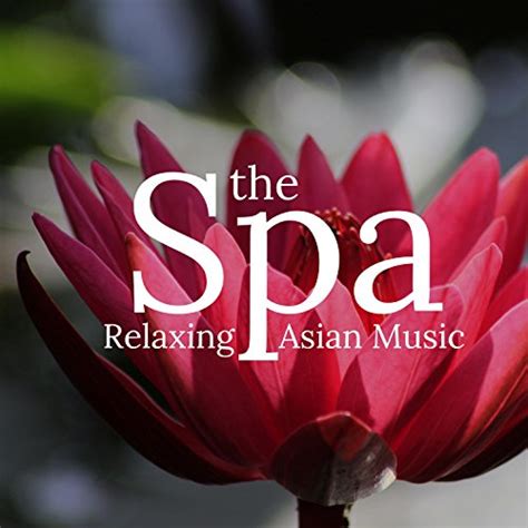 Asian Zen Spa Music Meditation And Soundtrack