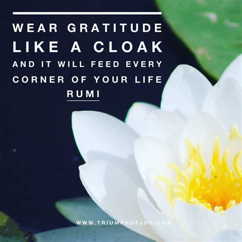Wear Gratitude Like A Cloak And It Will Feed Every Corner Of Your Life