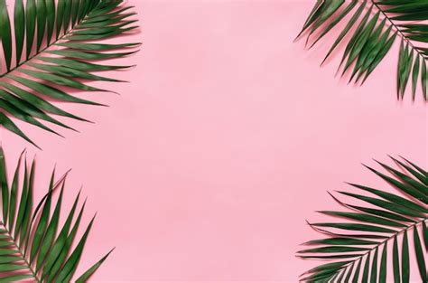 Premium Photo Tropical Palm Leaves On Pastel Pink Background