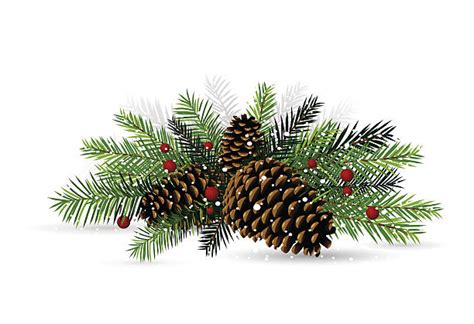 Pine Cone Clip Art Vector Images And Illustrations Istock