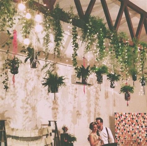 Get pine cones in fairy lights wallpaper. Love the vines and fairy lights | Fairy lights, Foliage, Bloom