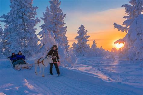 Selection Of Activities Lapland Star Arctic Hotel