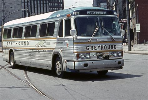 1965 Greyhound Greyhound Bus Greyhound Bus