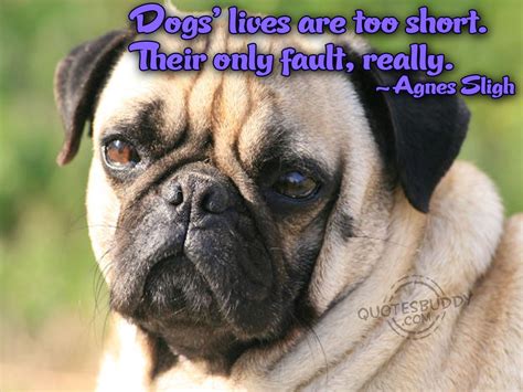 Funny Dog Quotes And Sayings Quotesgram