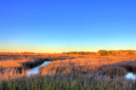 Winding River at San Jacinto Monument, Texas image - Free stock photo