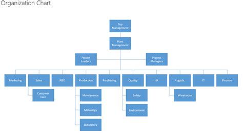 Organizational Roles Responsibilities Collaborator