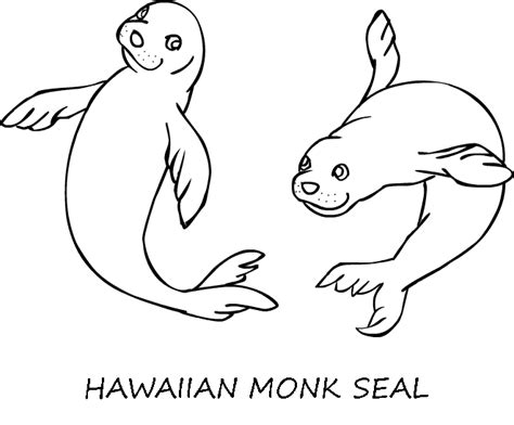 Gambar Monk Seal Coloring Page Animals Town Color Sheet Free Hawaii Di