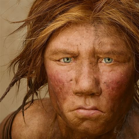 💣 Interesting Facts About Neanderthals 9 Tempting Neanderthal Genome