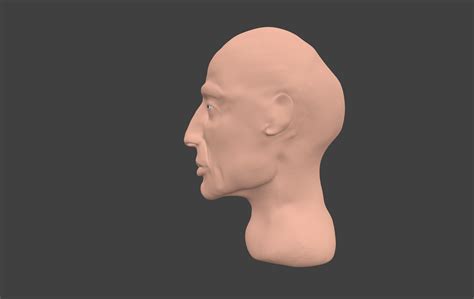 Scultpter Human Bust With Blender 3d Model 3d Printable Cgtrader