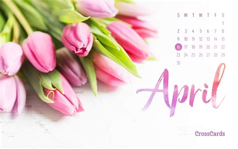 Beautiful April Desktop And Mobile Wallpaper Free Backgrounds