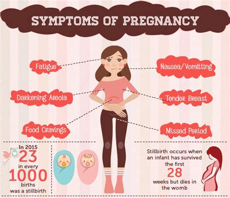 Early Pregnancy Stages