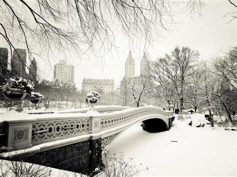 Beautiful Photos Of New York City In The Snow By Vivienne Gucwa