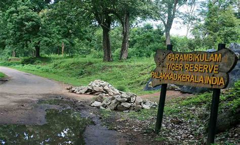 10 Wildlife Parks Near Chennai You Must Visit