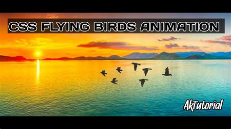 Birds Flying Animation Using Css And Html Ak Tutorial Youtube