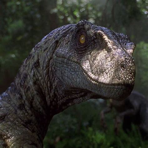 Collection 96 Pictures Pictures Of Velociraptors From Jurassic Park Full Hd 2k 4k