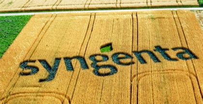 Syngenta is a leader amongst the us agribusiness companies, with a portfolio including seeds, crop protection and flowers. Syngenta: HYVIDO hybrid barley | Agricultural Review